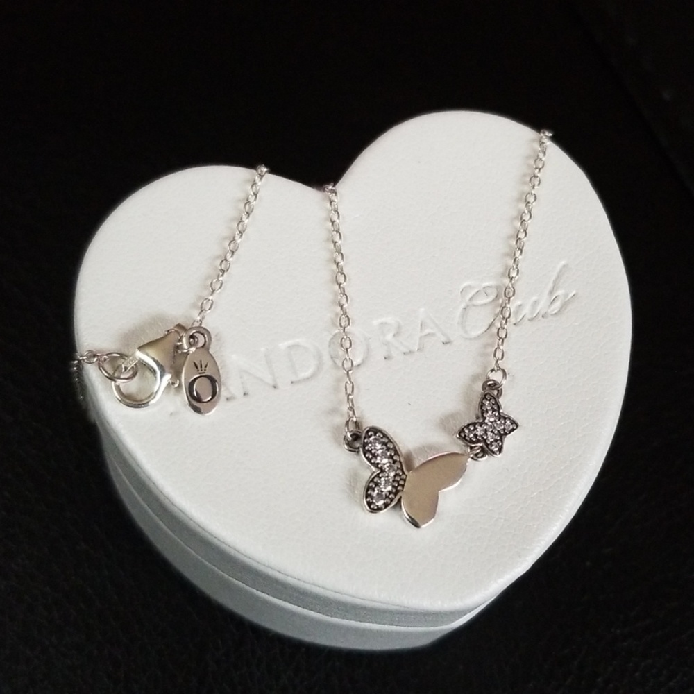 Pandora Silver Necklace